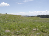 DSC01418.JPG