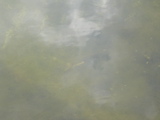 DSC01448.JPG