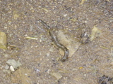 DSC01449.JPG