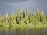 DSC01453.JPG