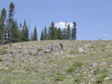 DSC01419.JPG