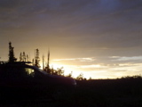DSC01457.JPG
