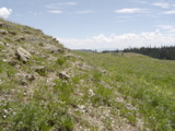 DSC01420.JPG