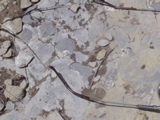 DSC01422.JPG