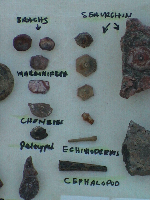 DSC00075.JPG