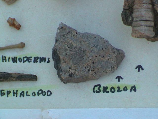 DSC00076.JPG