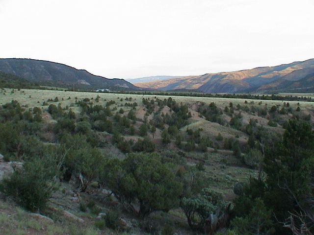 DSC00057.JPG