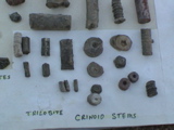 DSC00068.JPG