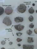 DSC00070.JPG