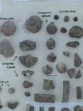 DSC00071.JPG