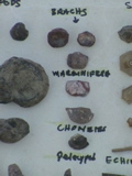 DSC00074.JPG