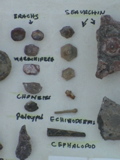 DSC00075.JPG