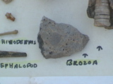 DSC00076.JPG