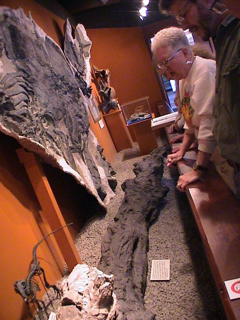 DSC00034.JPG