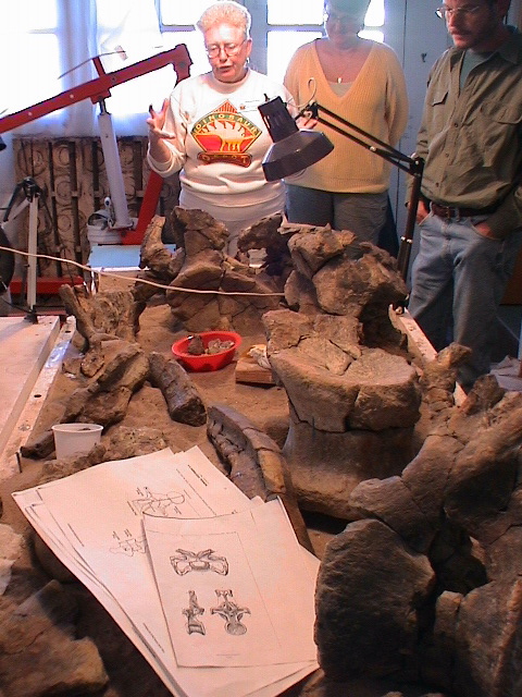 DSC00047.JPG