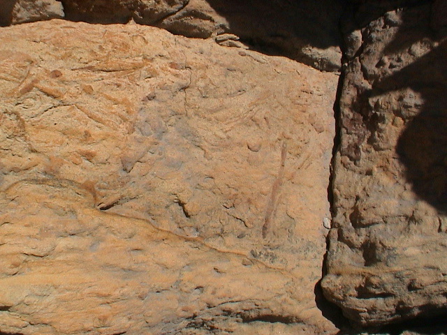 DSC00054.JPG