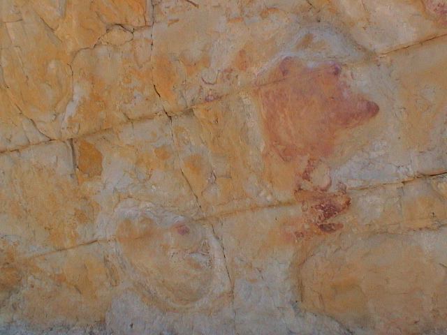 DSC00059.JPG