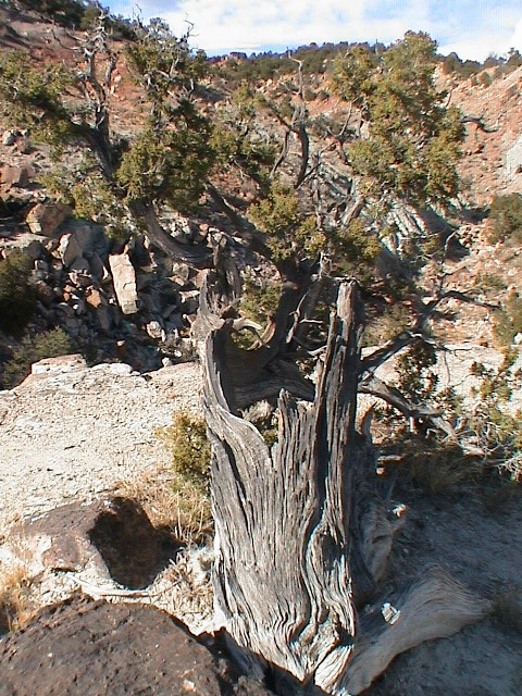 DSC00074.JPG
