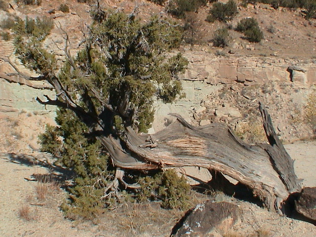 DSC00075.JPG