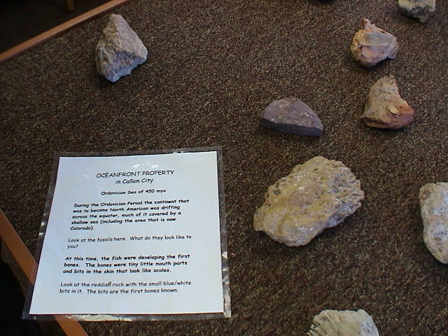 DSC00019.JPG