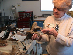 DSC00050.JPG