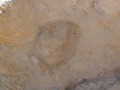 DSC00058.JPG
