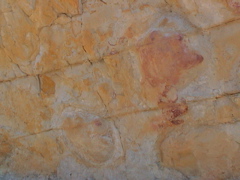 DSC00059.JPG
