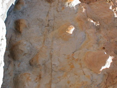 DSC00060.JPG