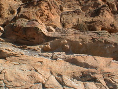 DSC00062.JPG