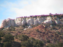 DSC00071.JPG