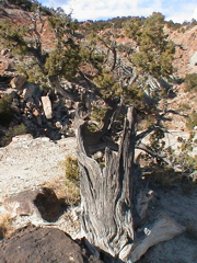 DSC00074.JPG