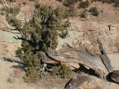 DSC00075.JPG