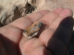 DSC00078.JPG