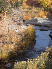 DSC00081.JPG