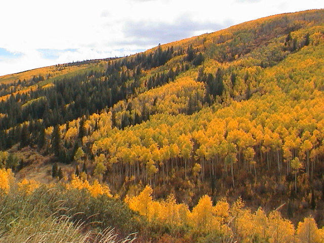 DSC00024.JPG