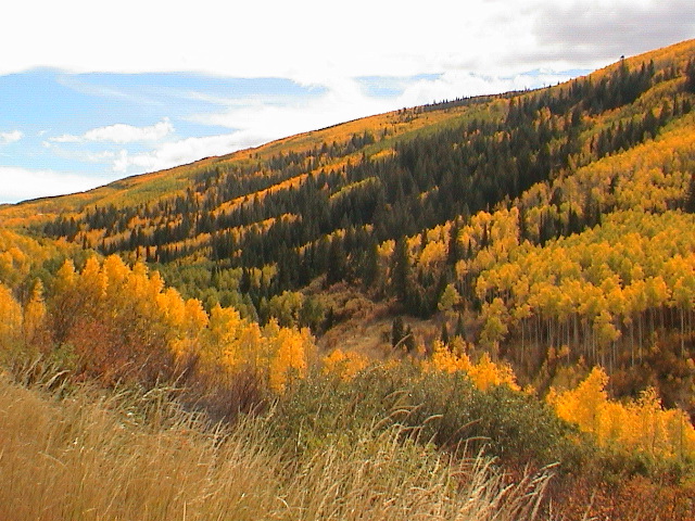 DSC00025.JPG