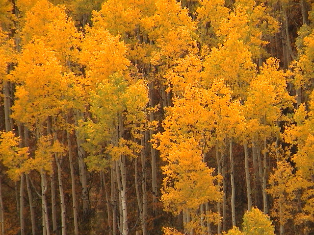 DSC00027.JPG