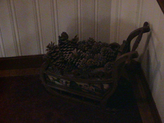 DSC00032.JPG