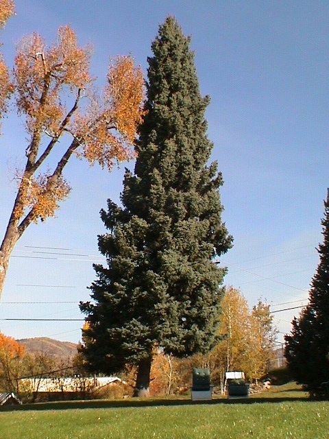 DSC00040.JPG