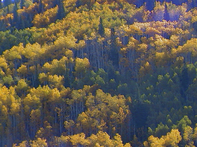 DSC00041.JPG