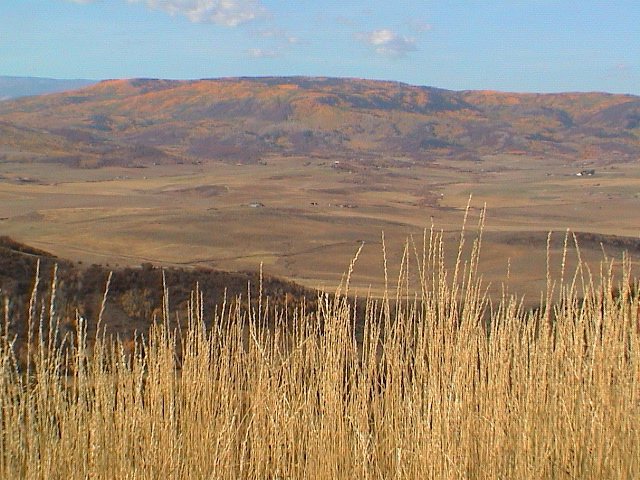 DSC00043.JPG