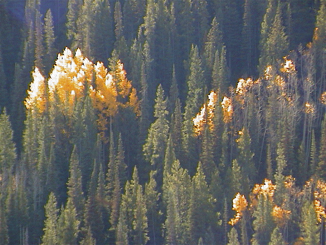 DSC00045.JPG