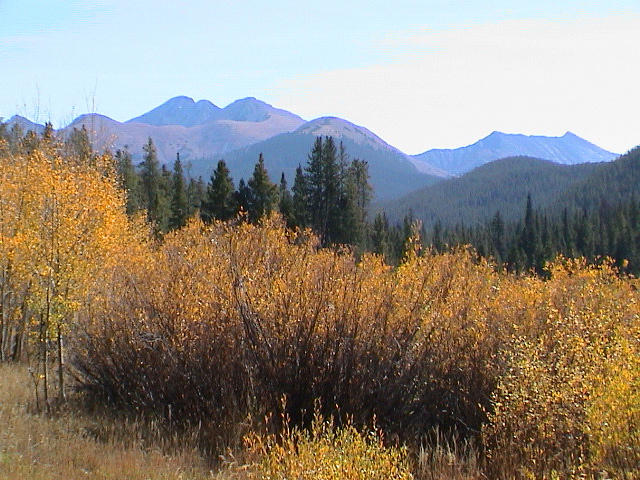 DSC00049.JPG
