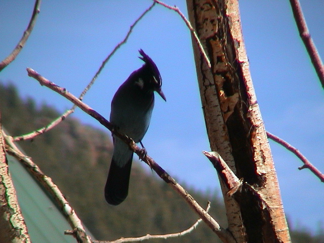 DSC00050.JPG