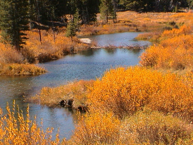 DSC00052.JPG