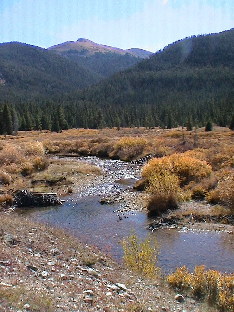 DSC00053.JPG