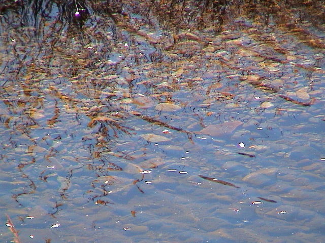 DSC00054.JPG
