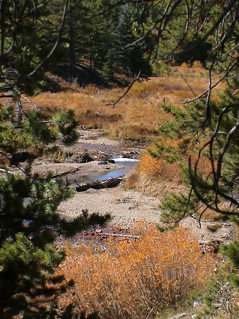 DSC00055.JPG