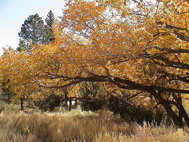 DSC00057.JPG