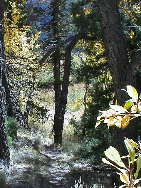 DSC00058.JPG
